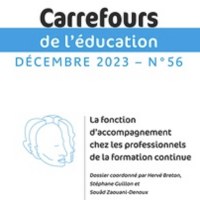 La fonction de l'accompagnement chez les professionnels de la formation continue